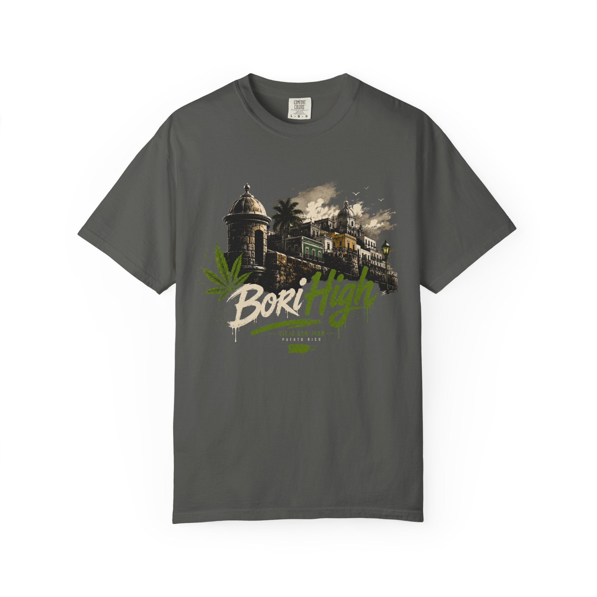 Bori High Puerto Rico Vintage Castillo Graphic T-Shirt